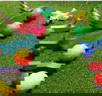 Oasis Supa Golf and Mini Golf - Northern Rivers Accommodation