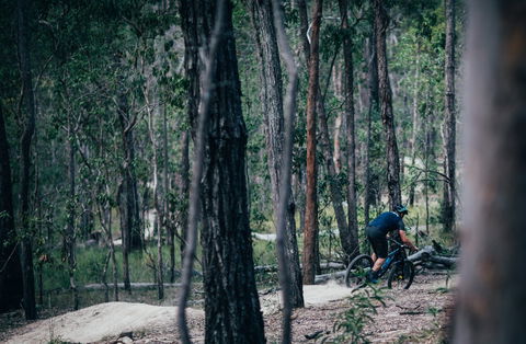 Old Tambo Downhill Mountain Bike Track - Northern Rivers Accommodation 0