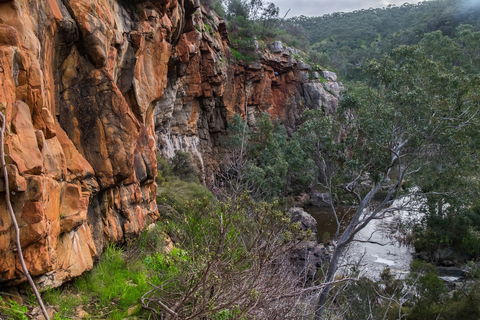 Onkaparinga River National Park - Northern Rivers Accommodation 1