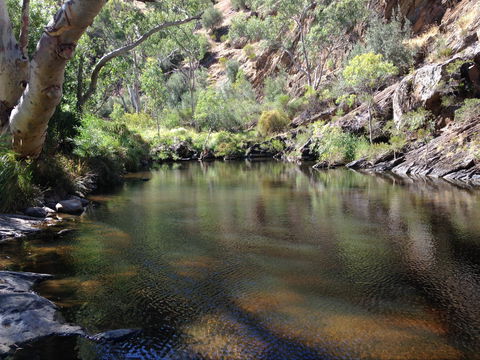 Onkaparinga River National Park - Northern Rivers Accommodation 2