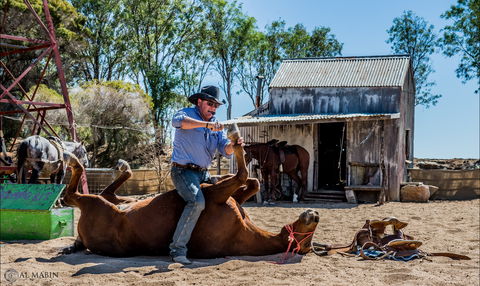 Outback Stockman's Show - Northern Rivers Accommodation 2