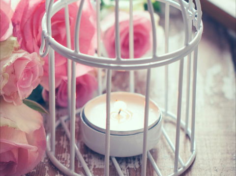 Passionfish Candles - Northern Rivers Accommodation 1