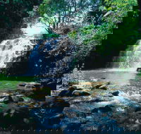 Pepina Falls - Northern Rivers Accommodation