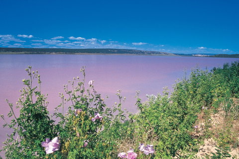 Port Gregory - Northern Rivers Accommodation 0