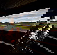 Reed Beds Bird Hide Boardwalk - Northern Rivers Accommodation