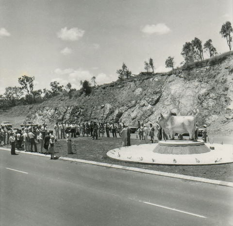 Rockhampton Bull Statues - Northern Rivers Accommodation 0
