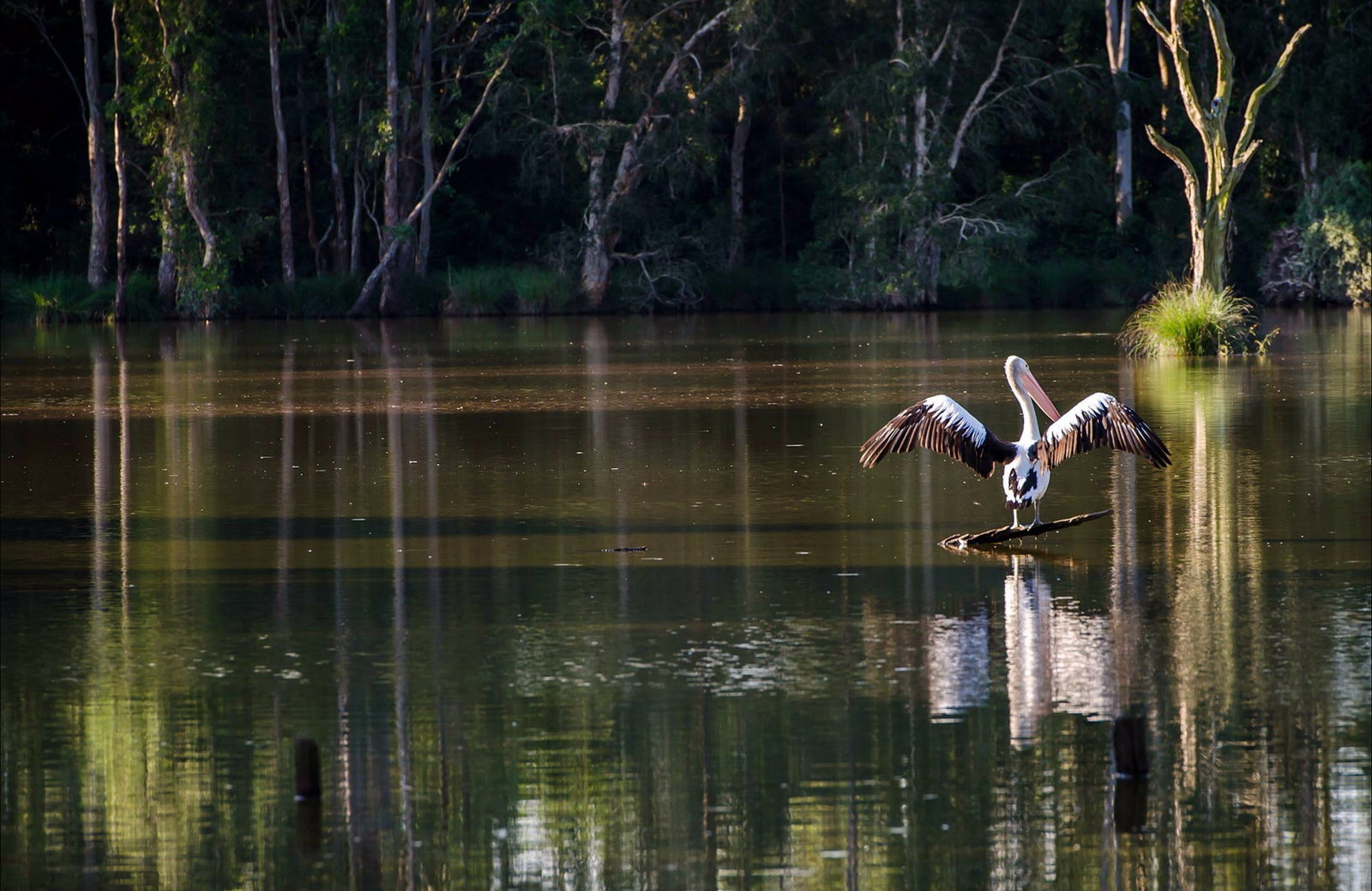 Seaham NSW Northern Rivers Accommodation
