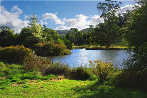 Tasmanian Arboretum Inc. - The - Northern Rivers Accommodation 0