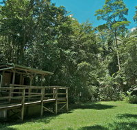 Terania Creek Picnic Area - Northern Rivers Accommodation