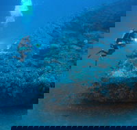 The Zanoni Wreck - Northern Rivers Accommodation