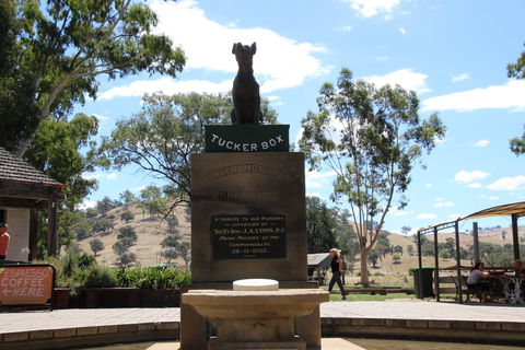 The Dog On The Tucker Box - Northern Rivers Accommodation 2