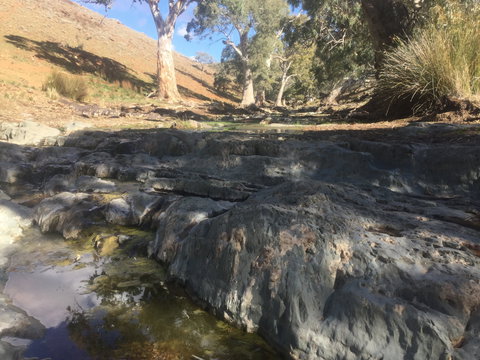 Three Creeks Station -Arkaroona Creek Walk - Northern Rivers Accommodation 0