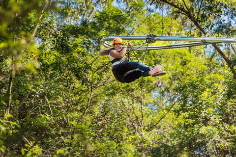 TreeTop Crazy Rider - Northern Rivers Accommodation 0