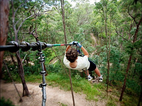 TreeTop Challenge - Northern Rivers Accommodation 0