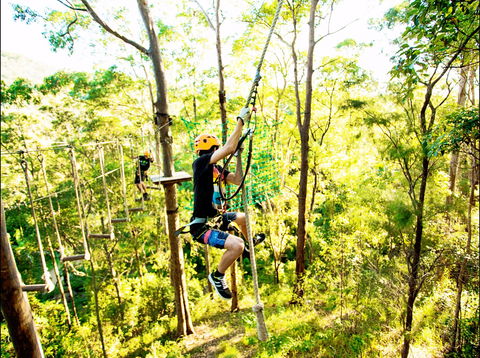 TreeTop Challenge - Northern Rivers Accommodation 1