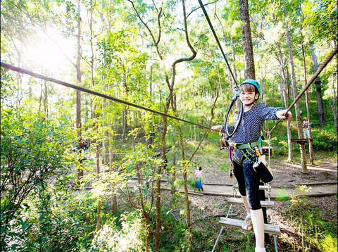 TreeTop Challenge - Northern Rivers Accommodation 2