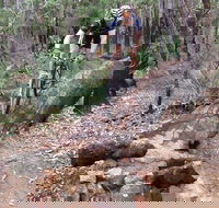 Turner Hill Mountain Bike Trail Murray - Northern Rivers Accommodation
