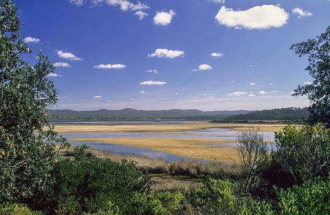 Wallagoot Lake Picnic Area And Boat Ramp - Northern Rivers Accommodation 0