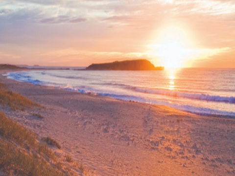 Warilla Beach: Shellharbour - Northern Rivers Accommodation 0