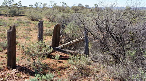 Winnecke Goldfield Cemetery - Northern Rivers Accommodation 2
