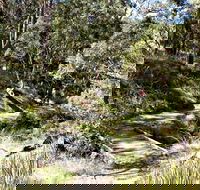 Wollomombi Walking Track - Northern Rivers Accommodation