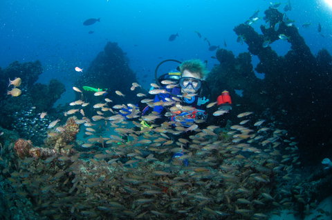 Aarhus Dive Site - Northern Rivers Accommodation 0