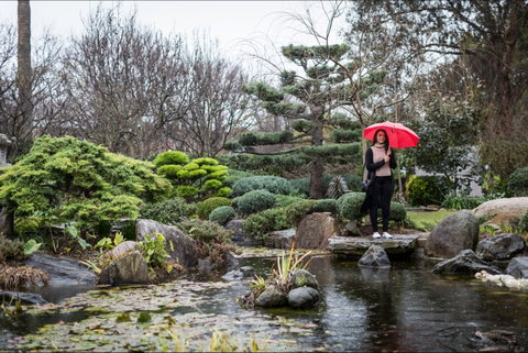Adelaide Himeji Garden - Northern Rivers Accommodation 2