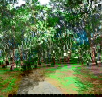 Adungadoo Pathway - Northern Rivers Accommodation