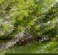 Berry Springs Nature Park - Northern Rivers Accommodation