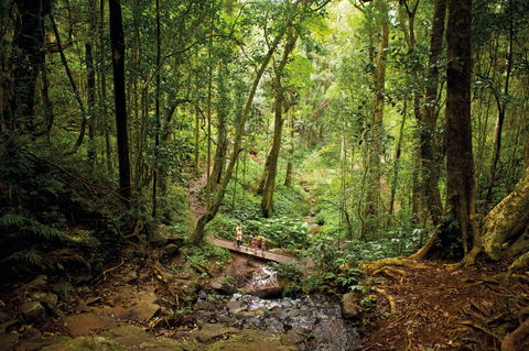 Big Sky National Parks - Northern Rivers Accommodation 1
