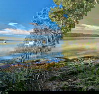 Black Oaks Picnic Area - Northern Rivers Accommodation