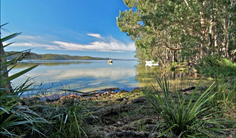 Black Oaks Picnic Area - Northern Rivers Accommodation 0