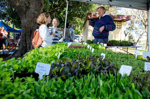 Boutique Shopping And Heritage Buildings In Gladstone - Northern Rivers Accommodation 1