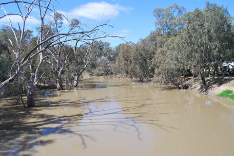 Bush Tucker Trail - Northern Rivers Accommodation 0