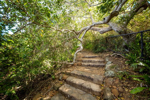Capricorn Coast National Park - Northern Rivers Accommodation 2
