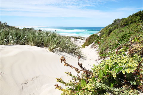 Coffin Bay National Park - Northern Rivers Accommodation 1