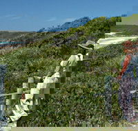 Conjola Beach Picnic Area - Northern Rivers Accommodation