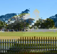 Cootamundra Cricketing Exploration - Northern Rivers Accommodation