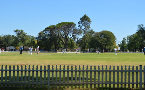 Cootamundra Cricketing Exploration - Northern Rivers Accommodation 0