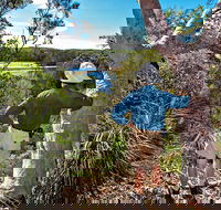 Corkwood and Scribbly Gum Walking Track - Northern Rivers Accommodation