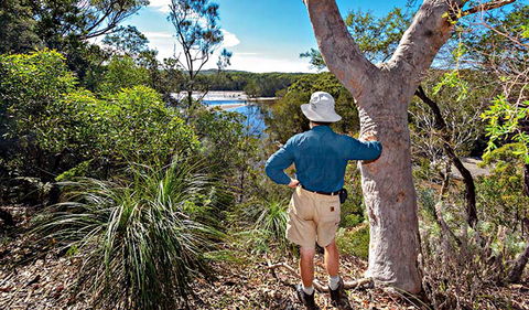 Corkwood And Scribbly Gum Walking Track - Northern Rivers Accommodation 0