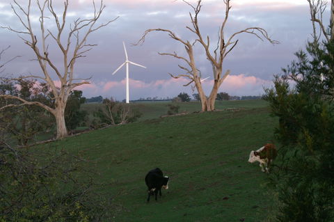 Crookwell Wind Farm - Northern Rivers Accommodation 1