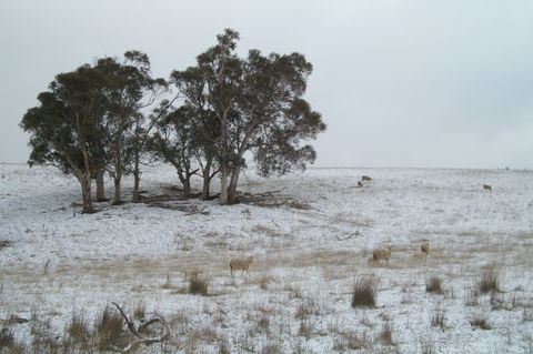 Crookwell Wind Farm - Northern Rivers Accommodation 2