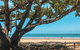 Etty Bay - thumb 0
