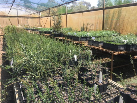 Euroa Arboretum - Northern Rivers Accommodation 1