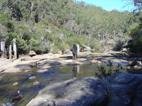 Frere's Crossing Bushwalk - Northern Rivers Accommodation 0