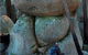Gulaga Mountain Walk - thumb 1