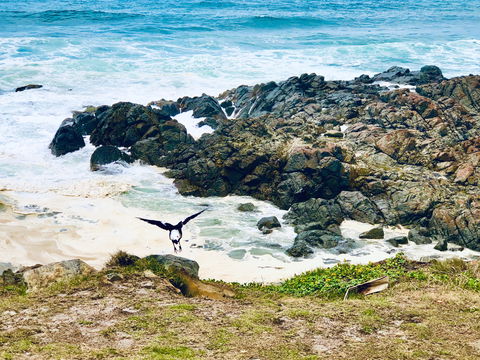 Hastings Point Beach - Northern Rivers Accommodation 2