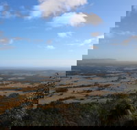 Heaton State Forest - Watagan Mountains - Northern Rivers Accommodation