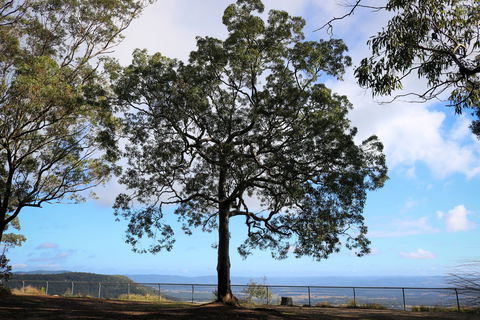 Heaton State Forest - Watagan Mountains - Northern Rivers Accommodation 2